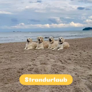 Sommerurlaub 2025 😎🏄‍♂️🌴🍹☀️