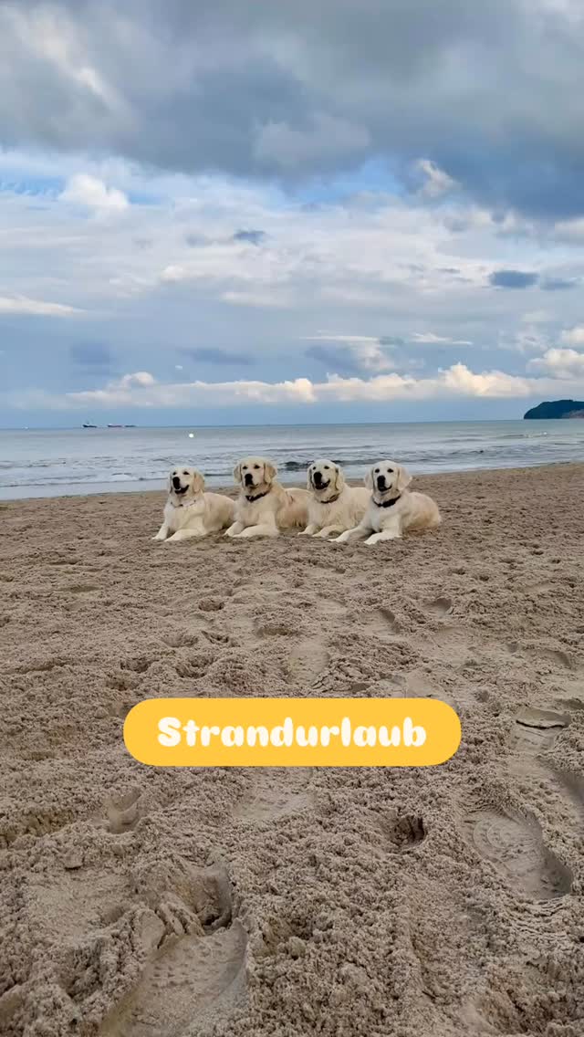 Sommerurlaub 2025 😎🏄‍♂️🌴🍹☀️