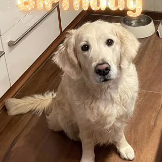 … unsere Miley feiert 6. Geburtstag 🥳❤️🎊